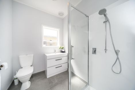 Photo of property in 29 Limbrick Street, Terrace End, Palmerston North, 4410