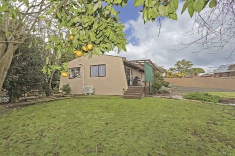 Photo of property in 36 Wylie Street, Gate Pa, Tauranga, 3112