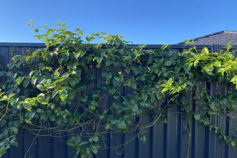 Photo of property in 11 Pioneer Crescent, Omokoroa, 3114