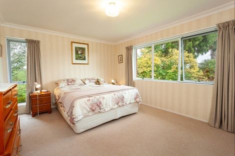 Photo of property in 113 Domain Road, Putaruru, 3482