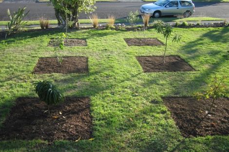 Photo of property in 29 East Grampian Street, Tokoroa, 3420