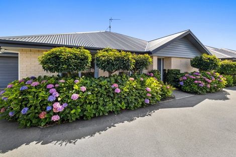 Photo of property in 76a Aitken Street, Ashburton, 7700