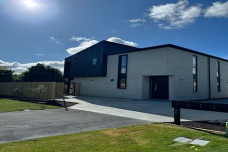 Photo of property in 1/46 Roker Street, Somerfield, Christchurch, 8024