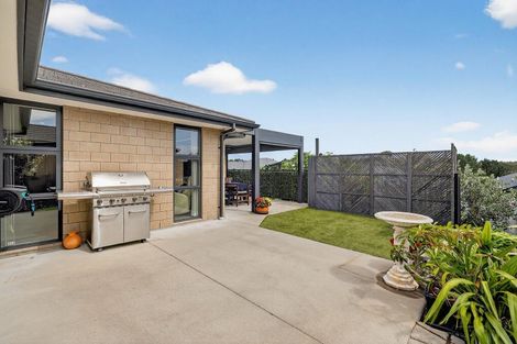 Photo of property in 14 Materawaho Way, Pyes Pa, Tauranga, 3112