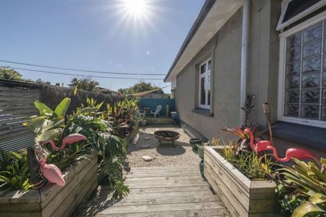 Photo of property in 129 Rimu Street, Maeroa, Hamilton, 3200