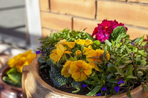 Photo of property in 40 Hadleigh Court, Paraparaumu, 5032