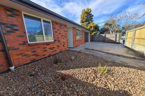 Photo of property in 51b Opawa Road, Waltham, Christchurch, 8023