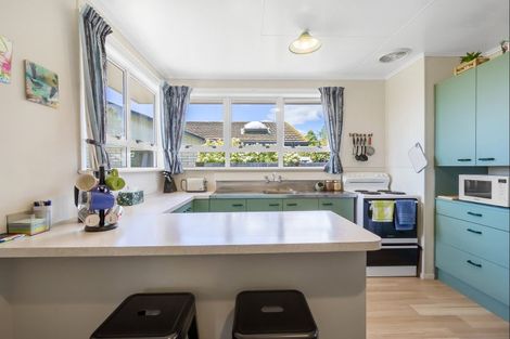 Photo of property in 9 Te Iwiheke Place, Turangi, 3334