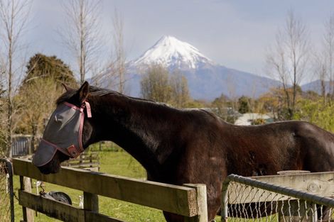 Photo of property in 1 Kahikatea Street, Inglewood, 4330