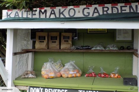 Photo of property in 430 Kaitemako Road, Welcome Bay, Tauranga, 3175