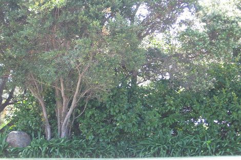 Photo of property in 57 Rothesay Bay Road, Rothesay Bay, Auckland, 0630