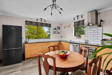 Photo of property in 2 Clutha Street, Alexandra, 9320
