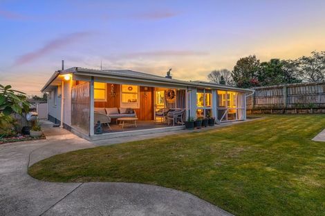 Photo of property in 27 Macarthur Street, Levin, 5510