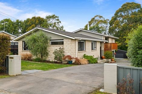 Photo of property in 1 Viscount Road, Waldronville, Dunedin, 9018