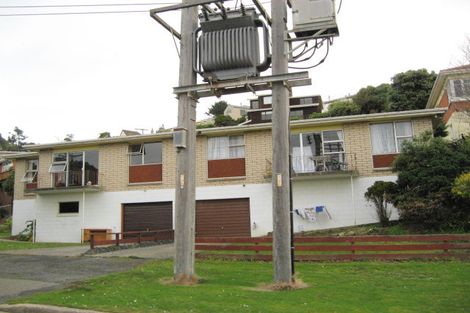 Photo of property in 110b Norfolk Street, Saint Clair, Dunedin, 9012