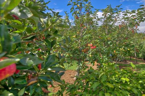 Photo of property in 187 Oaks Road, Portland, Whangarei, 0178