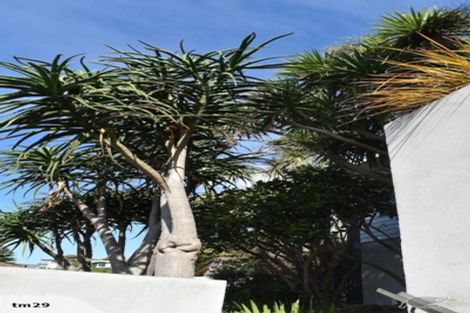 Photo of property in 20 Beere Haven Road, Seatoun, Wellington, 6022