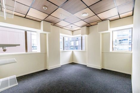 Photo of property in Te Kainga Te Aka, 203 Willis Street, Te Aro, Wellington, 6011