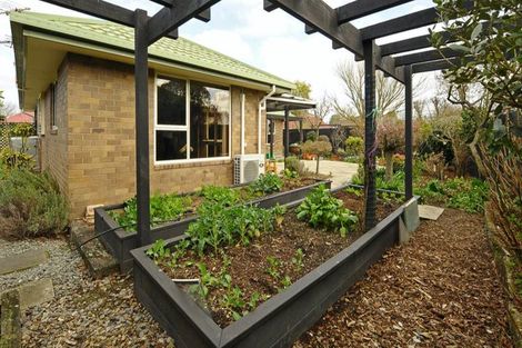 Photo of property in 38 Kintyre Drive, Broomfield, Christchurch, 8042