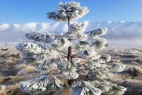 Photo of property in 356 Manuka Terrace, Ben Ohau, Twizel, 7999