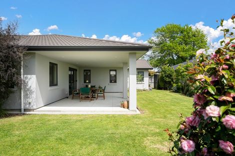 Photo of property in 4 Libby Crescent, Cambridge, 3434