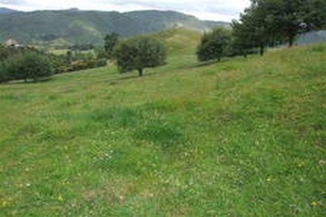 Photo of property in 521a Kauaeranga Valley Road, Thames, 3577