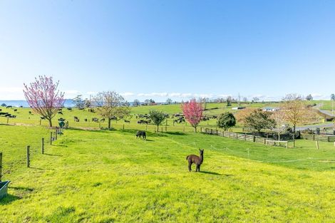 Photo of property in 53 Matai Road, Matamata, 3472