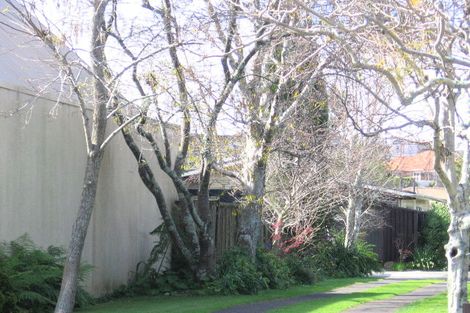 Photo of property in 21 Tainui Street, Matua, Tauranga, 3110