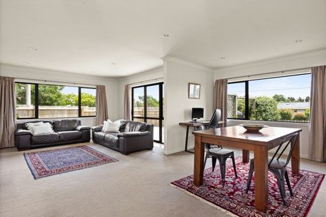 Photo of property in 95 Middle Road, Havelock North, 4130