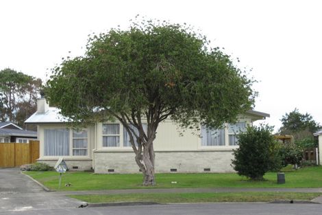 Photo of property in 16 Dunn Place, Pirimai, Napier, 4112