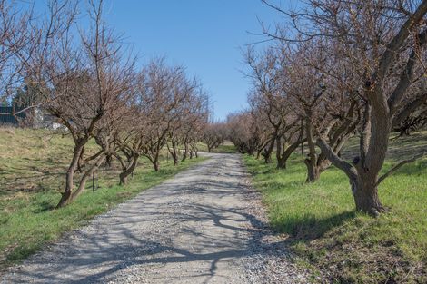 Photo of property in 217a Manuherikia Road, Springvale, Alexandra, 9393