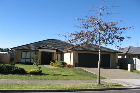 Photo of property in 20 Glencalder Place, Wattle Downs, Auckland, 2103