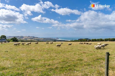 Photo of property in 200 Mcmaster Road, Saddle Hill, Dunedin, 9076