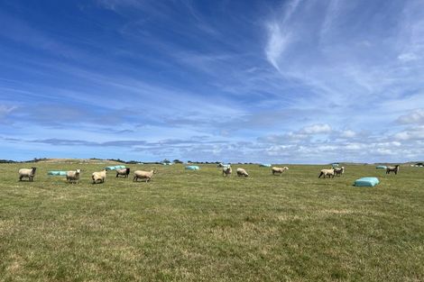 Photo of property in 76 Muriwai Road, Muriwai, 0881