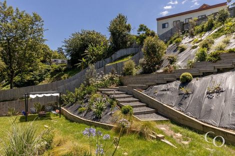 Photo of property in 21d Glenn Terrace, Otumoetai, Tauranga, 3110