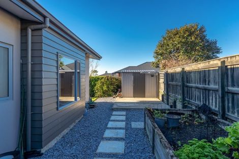 Photo of property in 4 Calla Grove, Richmond, 7020