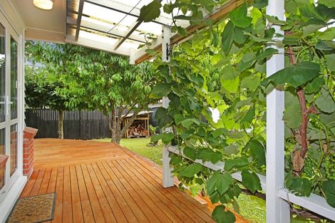 Photo of property in 38 Gibson Road, Tuakau, 2121