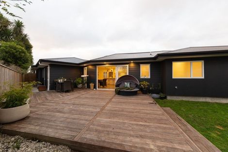 Photo of property in 68b Manson Street, Terrace End, Palmerston North, 4410