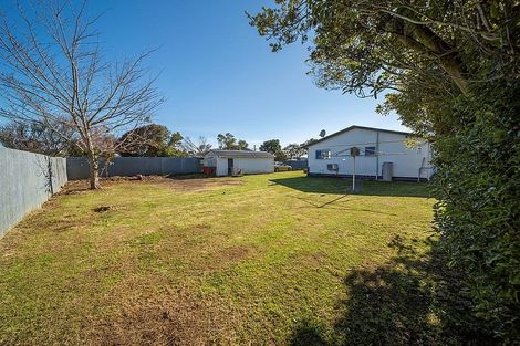 Photo of property in 17 Fantham Street, Hawera, 4610