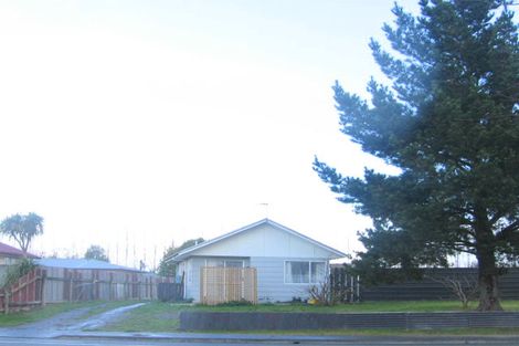 Photo of property in 355 Flaxmere Avenue, Flaxmere, Hastings, 4120