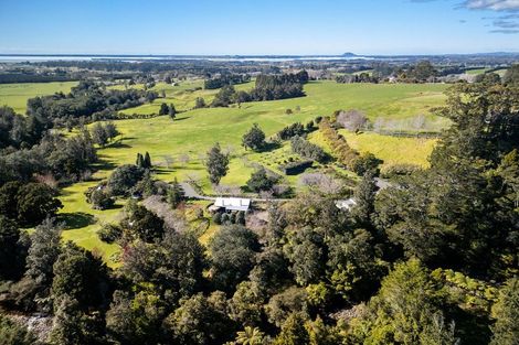 Photo of property in 202 Thompsons Track, Aongatete, 3178