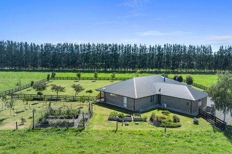 Photo of property in 2840 South Eyre Road, Eyrewell, Rangiora, 7476