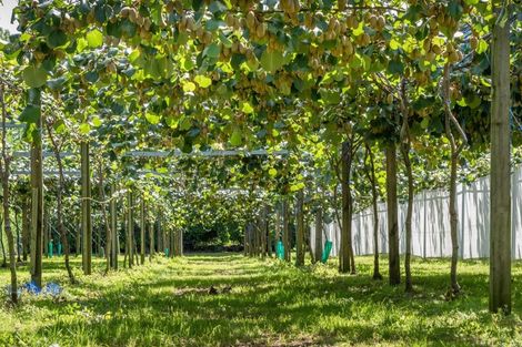 Photo of property in 154b Wairoa Road, Minden, Tauranga, 3171