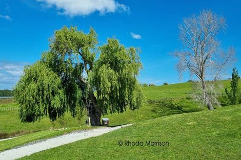 Photo of property in 41 Minnie Casey Rise, Matakohe, 0593