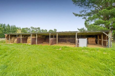 Photo of property in 690 Depot Road, Burnt Hill, Oxford, 7495