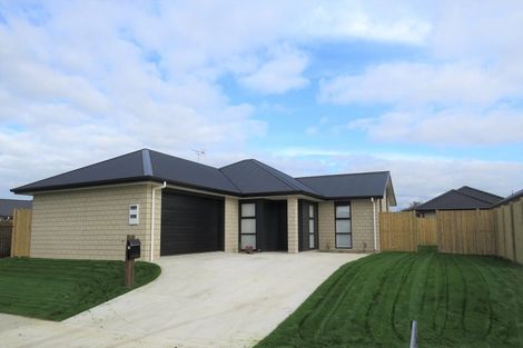 Photo of property in 16 Ladeira Place, Fitzroy, Hamilton, 3206