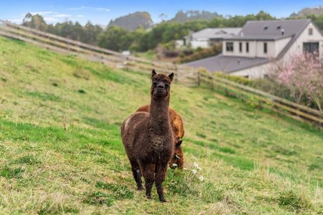 Photo of property in 1a Macks Road, Pokeno, 2471