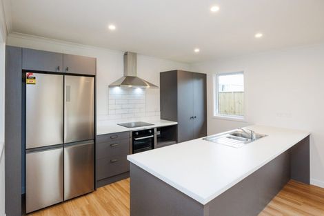 Photo of property in 1b London Terrace, Awapuni, Palmerston North, 4412