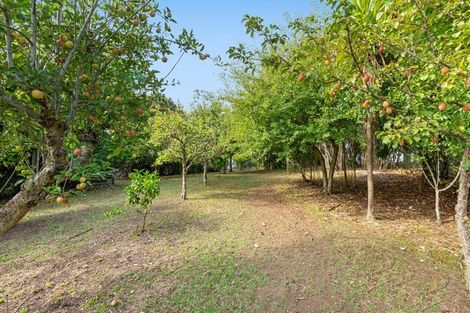 Photo of property in 1688 South Head Road, South Head, Helensville, 0874