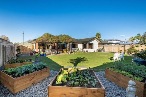 Photo of property in 6 Bucksburn Place, Greenmeadows, Napier, 4112